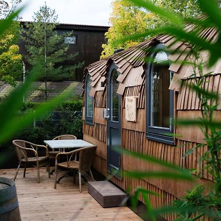 Tortuga - Einfach Anders! Villa Landau in der Pfalz Ngoại thất bức ảnh