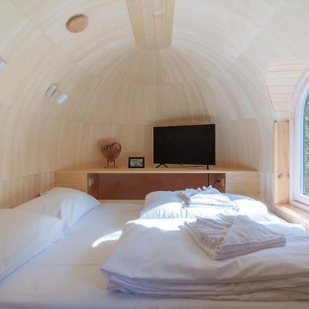 Tortuga - Einfach Anders! Villa Landau in der Pfalz Ngoại thất bức ảnh